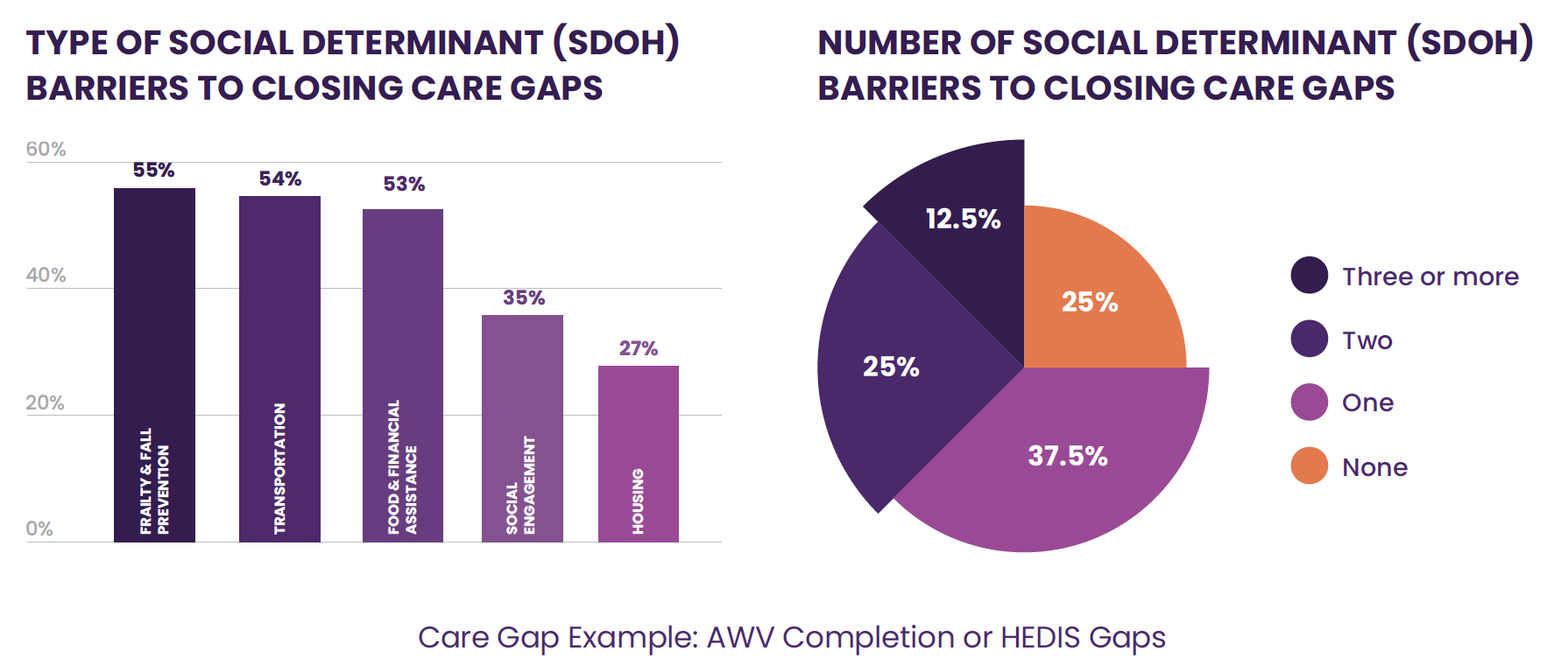 DUOS SDOH Data Bar Graphs